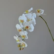 High quality 9heads butterfly orchid phalaenopsis latex artificial flowers dining table decoration wedding party home decor floral