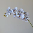 High quality 9heads butterfly orchid phalaenopsis latex artificial flowers dining table decoration wedding party home decor floral