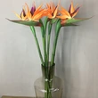 High quality artificial bird of paradise flower for home wedding party decoration