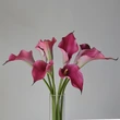 High simulated EVA callalily flower for decor
