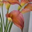 High simulated EVA callalily flower for decor