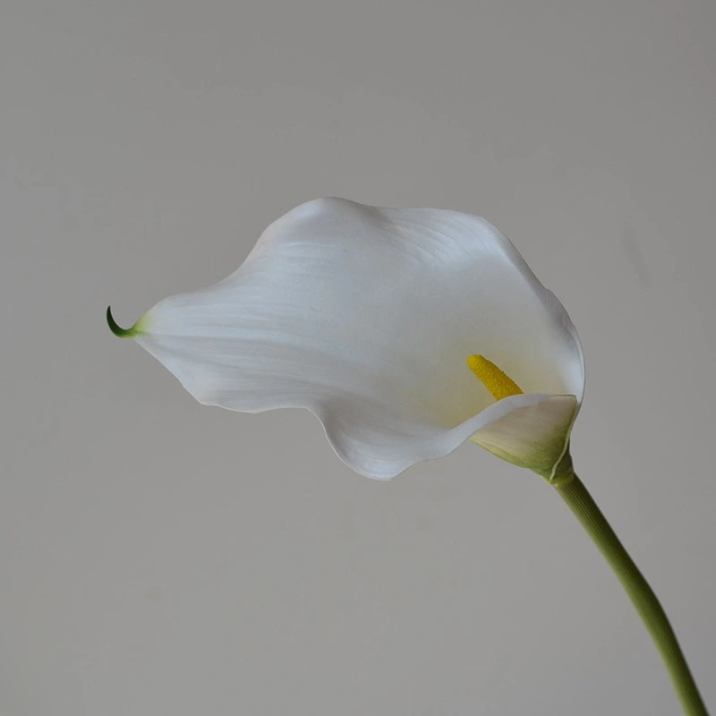 High simulated EVA callalily flower for decor