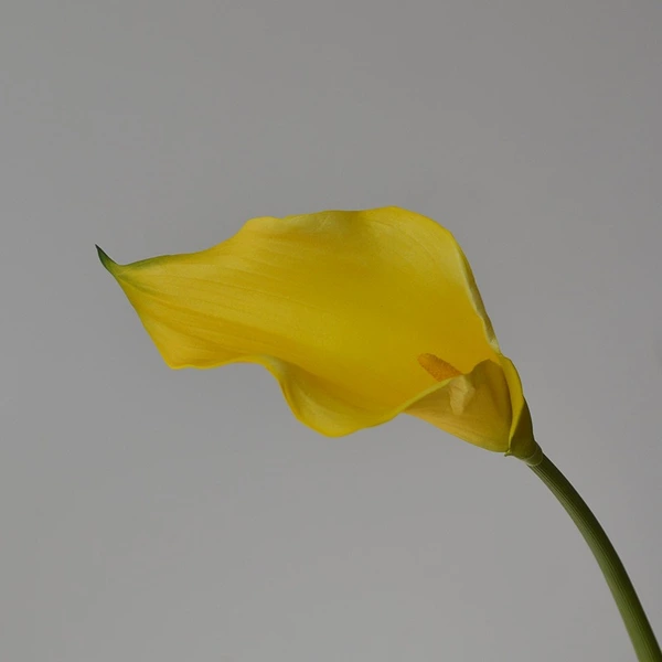 High simulated EVA callalily flower for decor