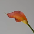 High simulated EVA callalily flower for decor