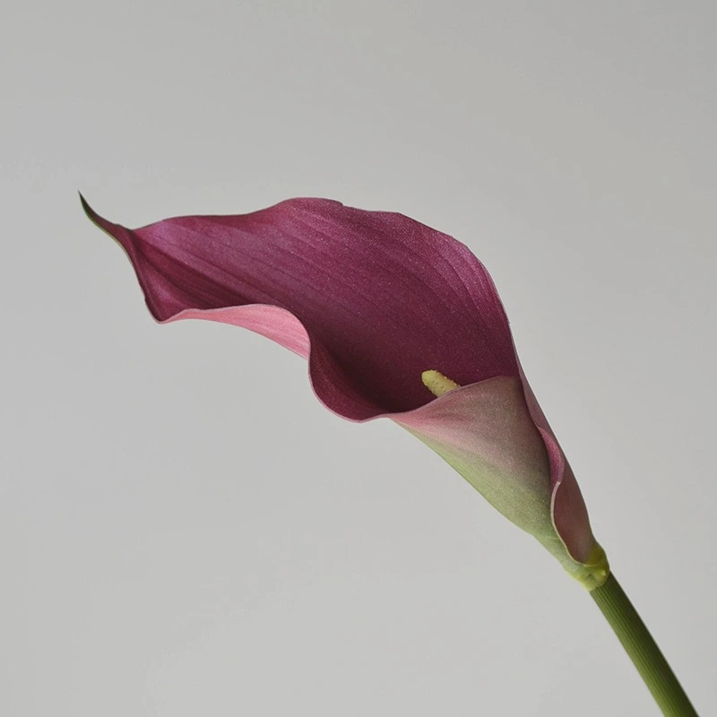 High simulated EVA callalily flower for decor
