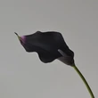 High simulated EVA callalily flower for decor