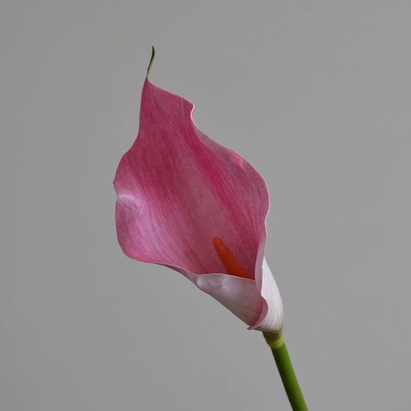 High simulated EVA callalily flower for decor
