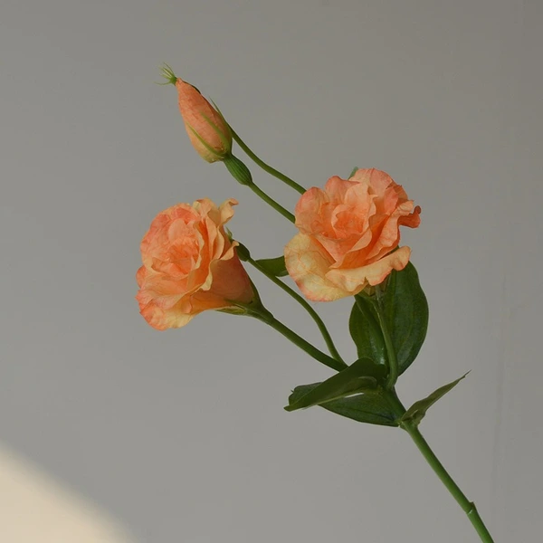 High quality artificial eustoma grandiflorum roses silk simulation flowers home wedding garden home party decoration