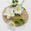 New design artificial hand feel clematis flower for home decoration