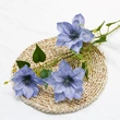 New design artificial hand feel clematis flower for home decoration
