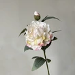 Simulated retro peony flower for home party wedding event decoration
