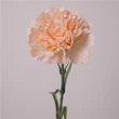 Moisturizing latex carnation artificial real touch silk flower Mother’s Day bouquet gift wedding home party decor