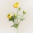High quality 5 heads flocked artificial ranunculus flower branches for home wedding party event decoration