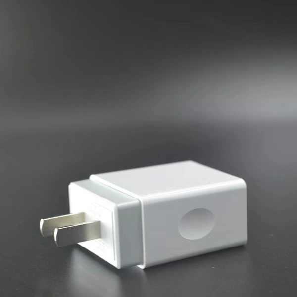 5V/2.4A private mold dual usb quick charger | Factory Manufactorer