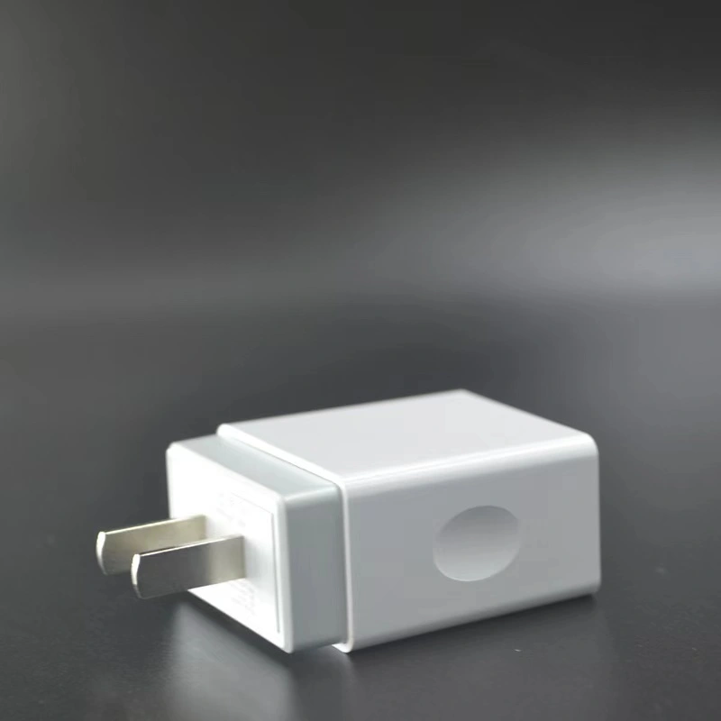 5V/2.4A private mold dual usb quick charger | Factory Manufactorer