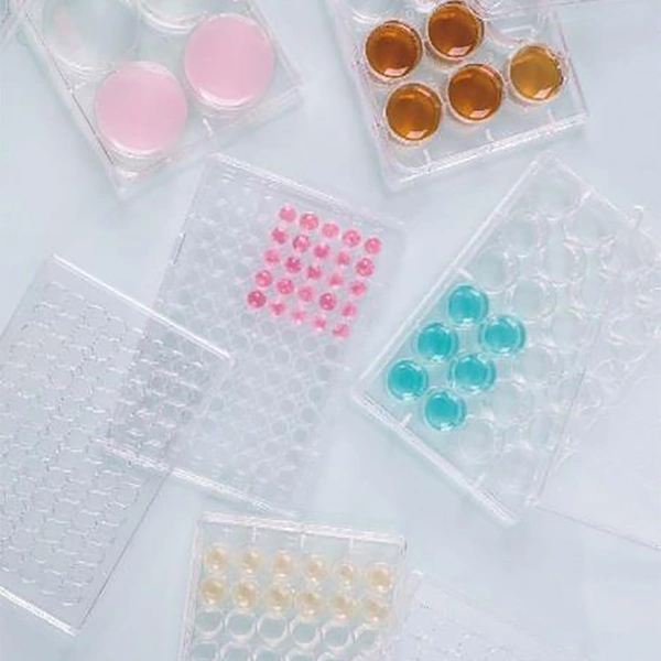 Specialized Cell Culture Plates: Collagen-Coated, 96-Well for Sensitive Cells