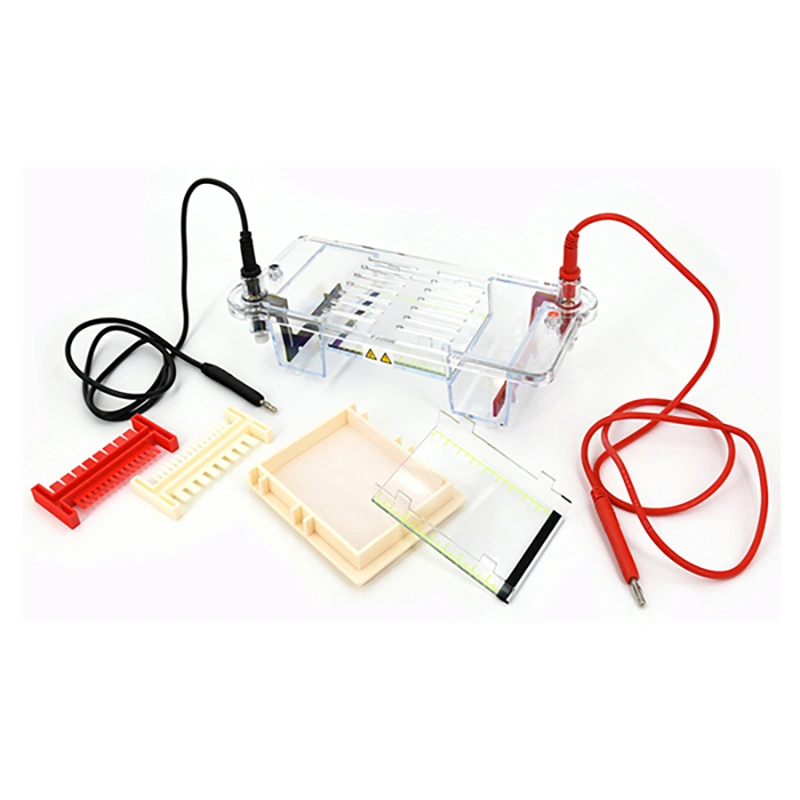 Electroforesis en gel UV: sistema transparente, compatible con bromuro de etidio, visualización de ADN