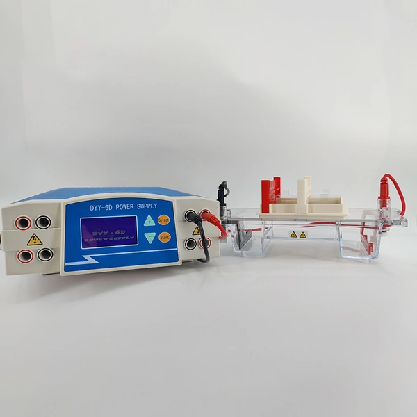 Electroforesis en gel UV: sistema transparente, compatible con bromuro de etidio, visualización de ADN