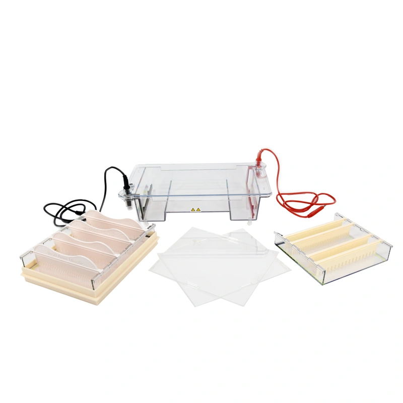 Mini electroforesis en gel: análisis compacto de ADN y ARN, ahorro de espacio, uso personal