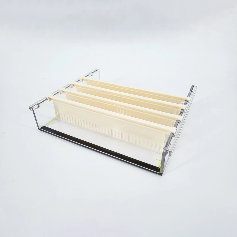 Mini electroforesis en gel: análisis compacto de ADN y ARN, ahorro de espacio, uso personal