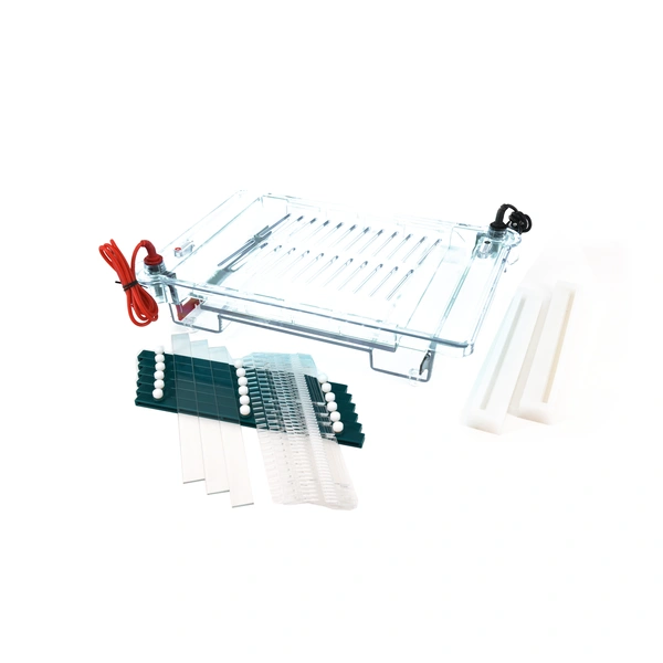 تدريس الرحلان الكهربائي للهلام: فصل الأحماض النووية، دليل الطالب، مختبر المدرسة