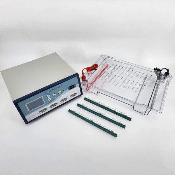 Teaching Gel Electrophoresis: Nucleic Acid Separation, Student Proof, School Laboratory