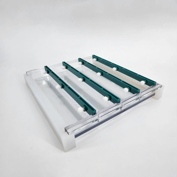 Teaching Gel Electrophoresis: Nucleic Acid Separation, Student Proof, School Laboratory