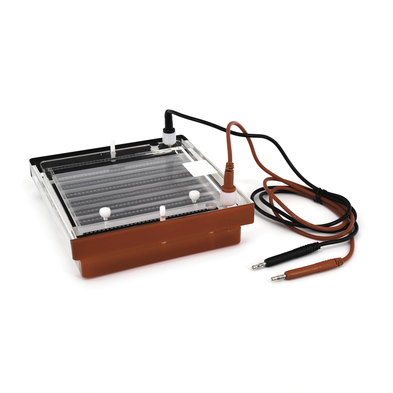 الرحلان الكهربائي للأحماض النووية: حلول موثوقة لفصل الحمض النووي (DNA) والحمض النووي الريبوزي (RNA)