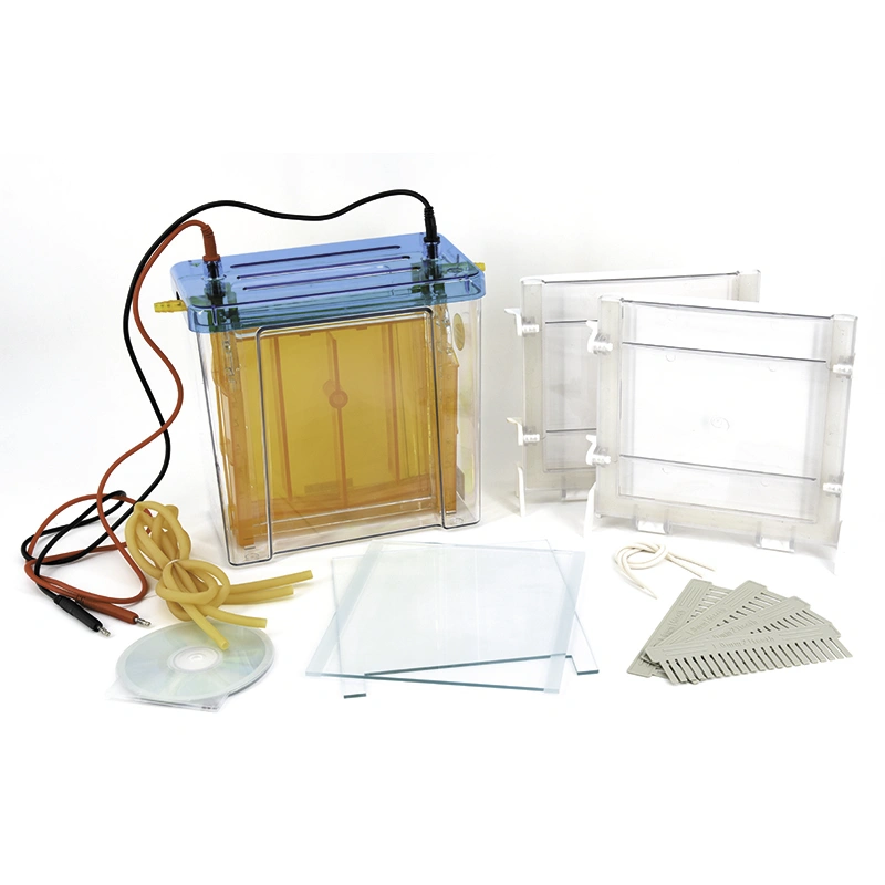 Modular Dual Vertical: Teaching Lab System, Student Groups, Expandable