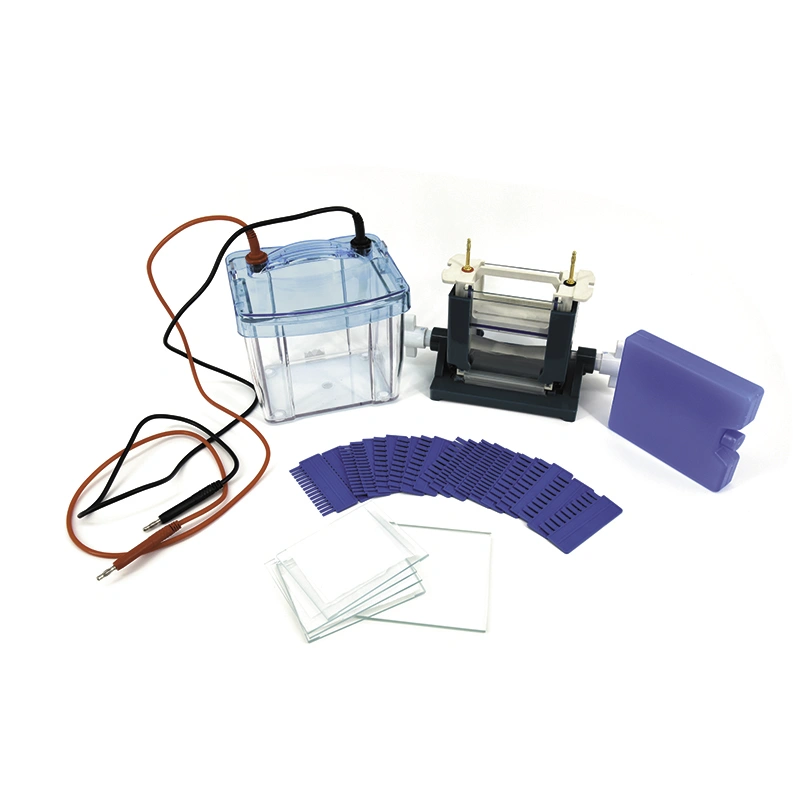 Modular Dual Vertical System: Expandable Electrophoresis, Dual Gel Capacity
