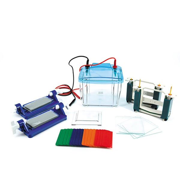 4 Gels Vertical Electrophoresis: High-Throughput Protein Analysis, SDS-PAGE System