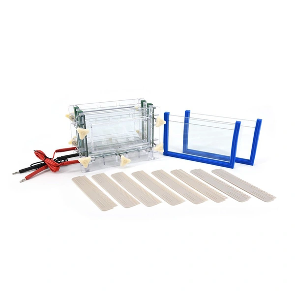 Solución de problemas de electroforesis de proteínas: Problemas comunes resueltos