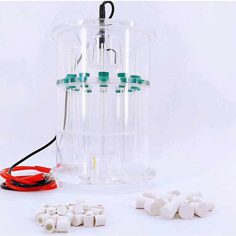 Gel Electrophoresis System: Complete DNA RNA & Protein Analysis, with Power Supply