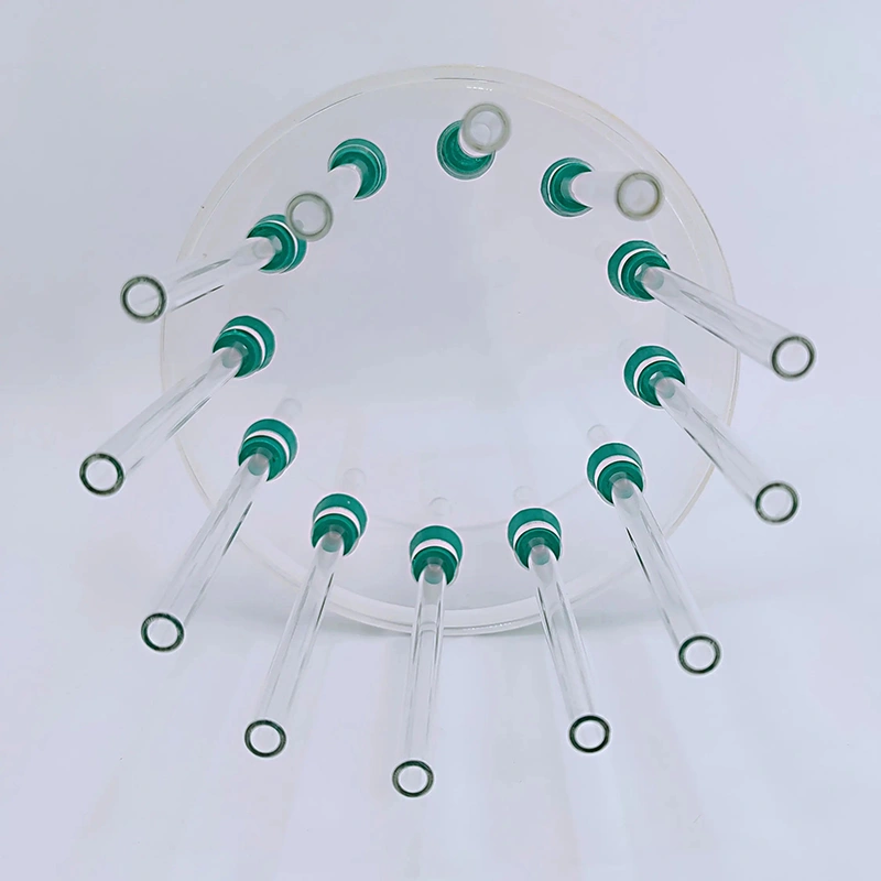 Gel Electrophoresis System: Complete DNA RNA & Protein Analysis, with Power Supply