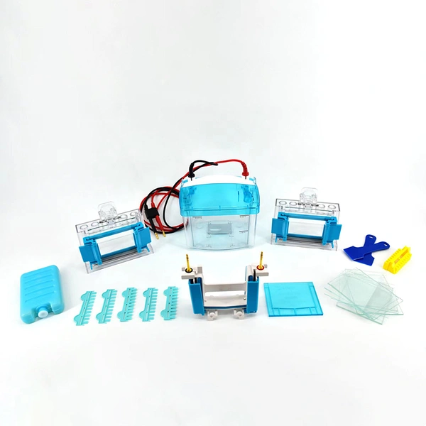 Protein Gel Electrophoresis Equipment: Teaching Lab Systems, Complete Kits