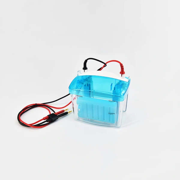 Protein Gel Electrophoresis Equipment: Teaching Lab Systems, Complete Kits