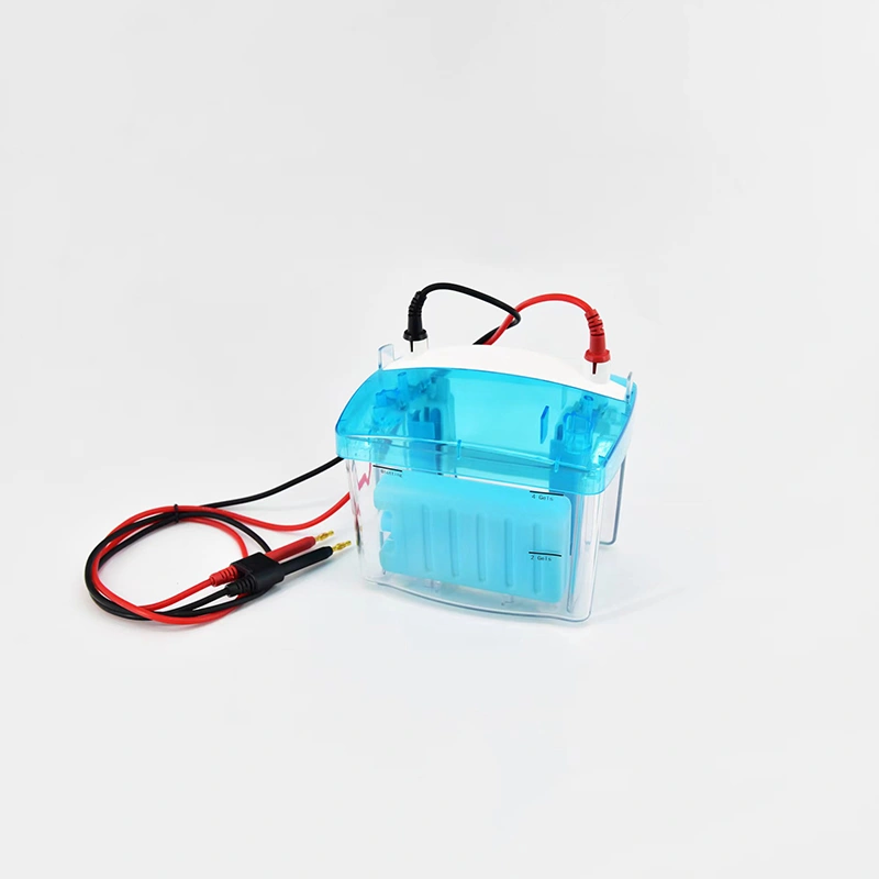 Protein Gel Electrophoresis Equipment: Teaching Lab Systems, Complete Kits