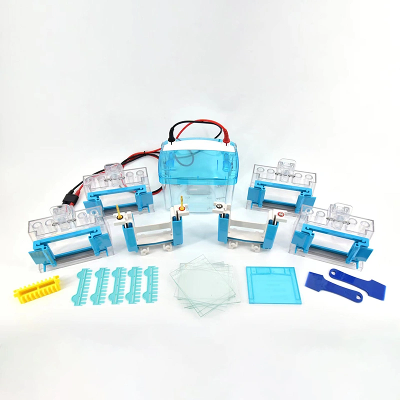 Protocolo SDS-PAGE: una guía para la separación de proteínas