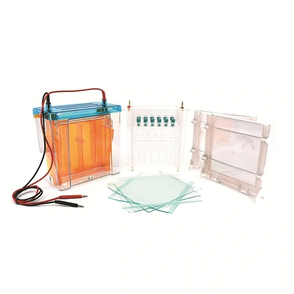 Domine el análisis de proteínas con técnicas de electroforesis 2D