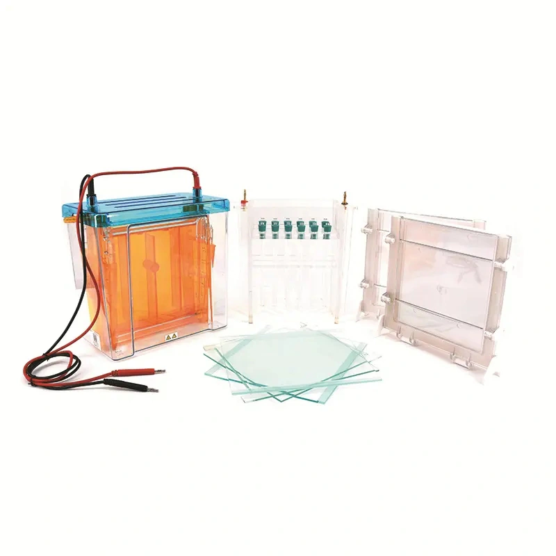 Domine el análisis de proteínas con técnicas de electroforesis 2D