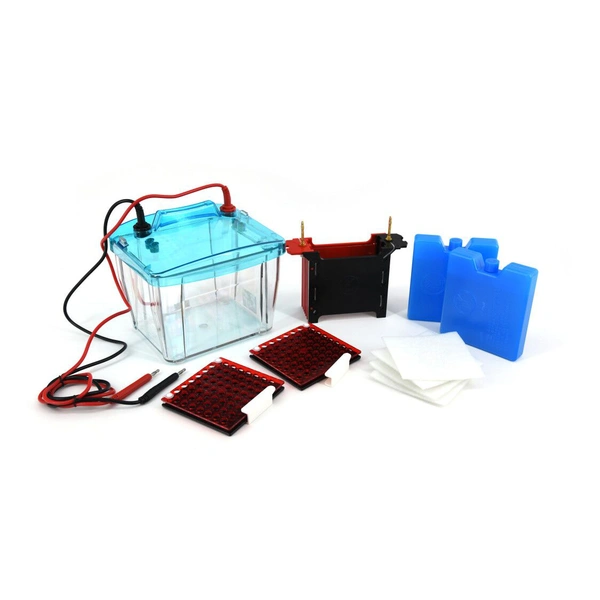 Wet/Tank Blotting Electrophoresis Cell | Reliable Protein Analysis