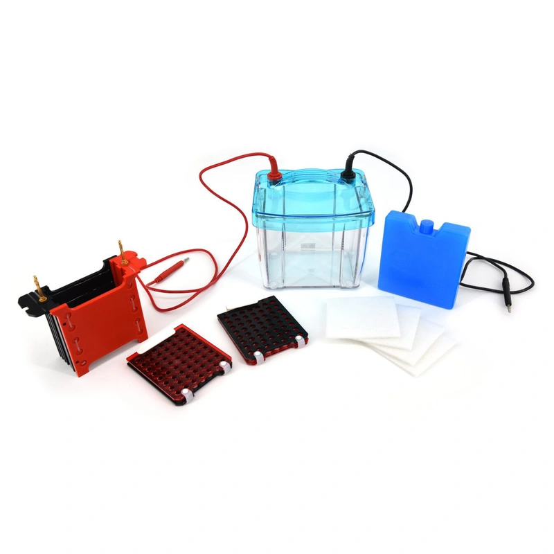 Transferencia eficiente de proteínas con células de electroforesis Trans-Blot