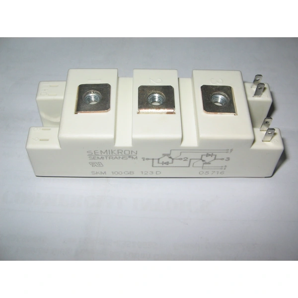 SEMIKRON SKM100GAR123D