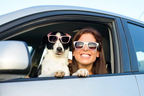 sunglasses for holiday driving