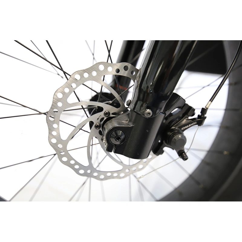 carbon fiber frame full suspension 1000w bicycle electric fat ebike