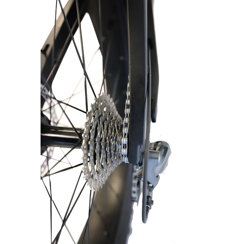 carbon fiber frame full suspension 1000w bicycle electric fat ebike