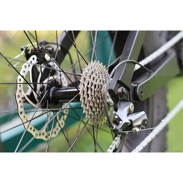 carbon fiber frame full suspension 1000w bicycle electric fat ebike