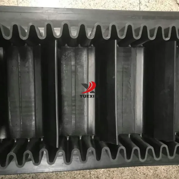 coal conveyor belt —YueXin