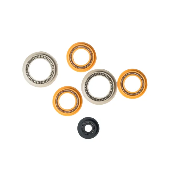 Spring Energized Seal