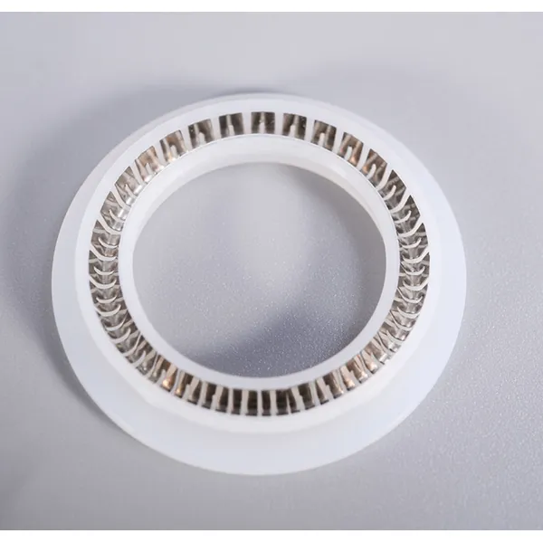 Spring Energized Seal